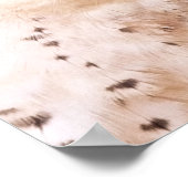 LANNER FALCON BIRD POSTER (Hoek)