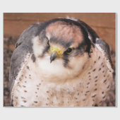 LANNER FALCON CADEAUPAPIER (Vlak)