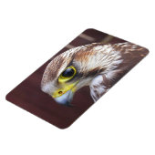 Lanner Falcon Magneet (Linkerzijde)