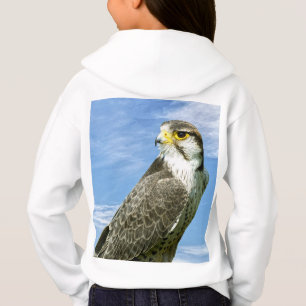Lanner Falcon neergestreken