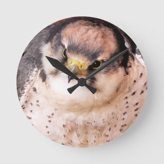 LANNER FALCON RONDE KLOK (Voorkant)