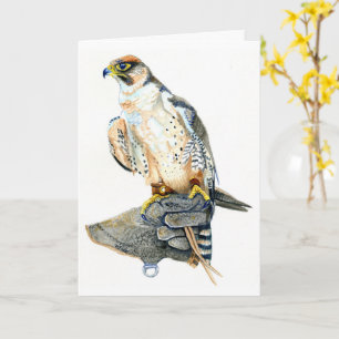 Lanner falcon verjaardag Kaart