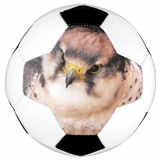 LANNER FALCON VOETBAL (Voorkant)