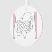 l'annexe tue you.png (devant)