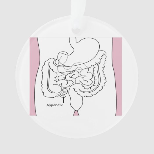 l'annexe tue you.png (devant)