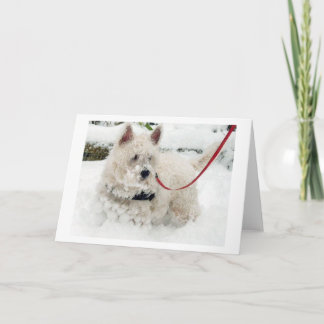 L'anniversaire de carte de voeux de Westie merci