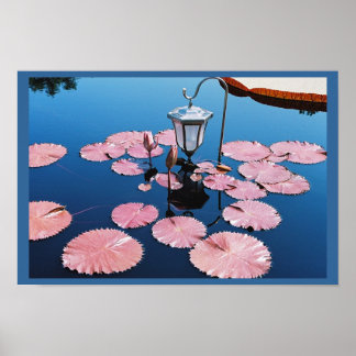 Lantaarn over Lilies Poster