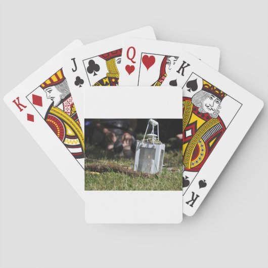 Lantaarn van licht pokerkaarten (Achterkant)