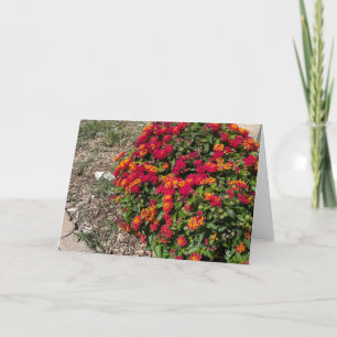 Lantana in bloei bedankkaart