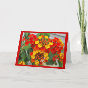 Lantana Kaart