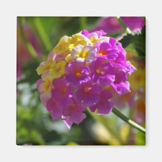 Lantana Magneet