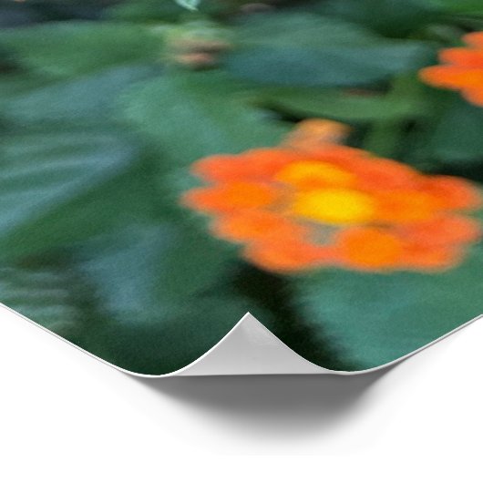 Lantana Poster (Coin)