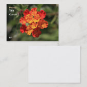 Lantana Visitekaartje (Voorkant / Achterkant)