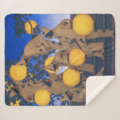 Lantern Bearers | Maxfield Parrish | Sherpa Deken (Voorkant (horizontaal))