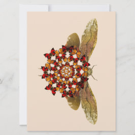 Lantern Fly and Butterfly Mandala Aankondiging