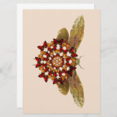 Lantern Fly and Butterfly Mandala Aankondiging (Voorkant / Achterkant)