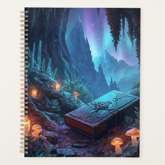 Lanternes, Champignons et un Livre (Devant)