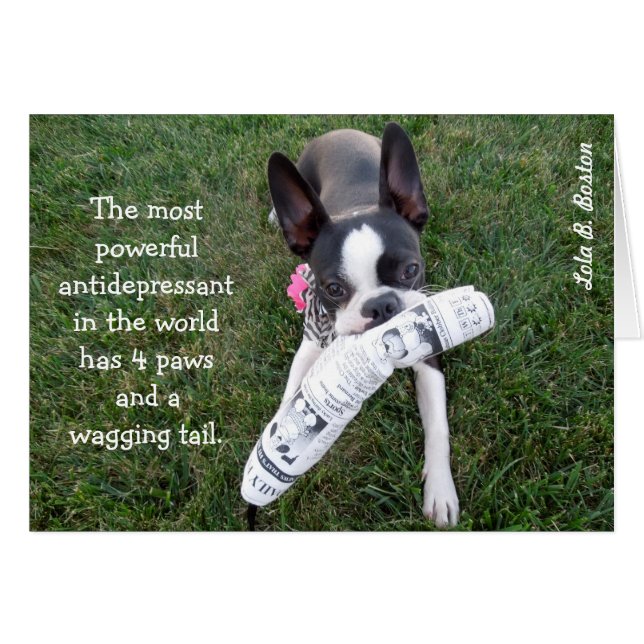 L'antidépresseur le plus puissant… CARTE VIERGE (Devant horizontal)