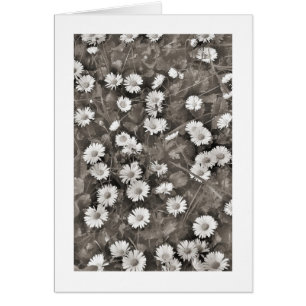 L'Antiquité des dattes