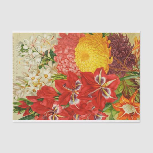 L'antiquité peut des fleurs de papier de soie de (Recto)