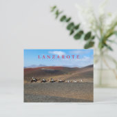 Lanzarote kamelen uitzicht briefkaart (Staand voorkant)