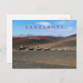 Lanzarote kamelen uitzicht briefkaart (Voorkant / Achterkant)