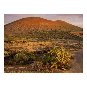 Lanzarote Vulkanische Wijngaard en Caldera bij Zon Perfect Poster