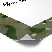 Lao Tzu Laisser Aller Citer Une Affiche Inspiratio (Coin)