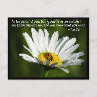 Lao Tzu Quote Ladybird Daisy inspirerende motivati