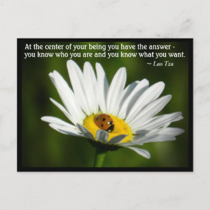 Lao Tzu Quote Ladybird Daisy inspirerende motivati Briefkaart