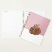 Lapin (Devant avec enveloppe)