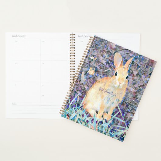Lapin (Devant avec enveloppe)