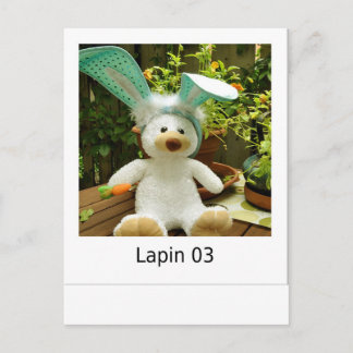 Lapin 03 briefkaart