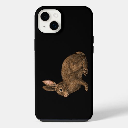 Lapin 2 (Verso)
