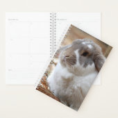 Lapin à oreilles de flop (Devant avec enveloppe)