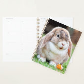 lapin à oreilles de lop mignon (Devant avec enveloppe)