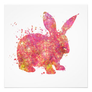 Lapin Animal Domestique Sauvage Nature Monde Terre Foto Afdruk