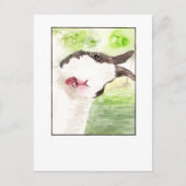 Lapin Animalerie Selfie - Cartes Postales DNM (Devant)