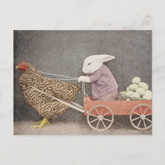 Lapin avec sa carte postale de poulet (Devant)