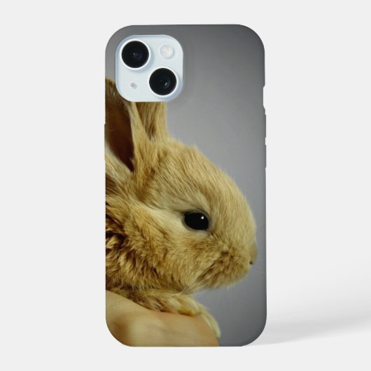 Lapin Bébé Mignon dans la Main (Verso)