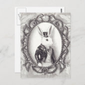 Lapin blanc - Carte postale (Devant / Derrière)