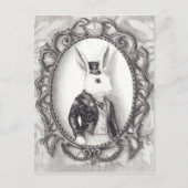 Lapin blanc - Carte postale (Devant)