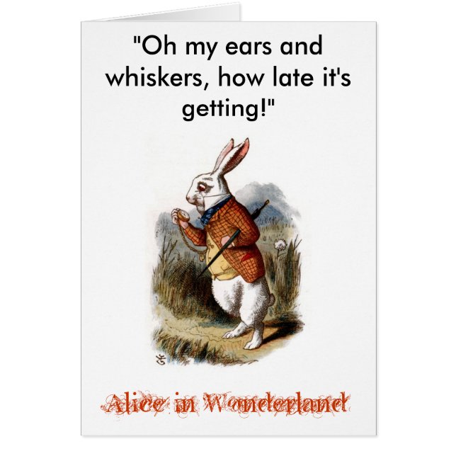 Lapin blanc (couleur) (Devant)