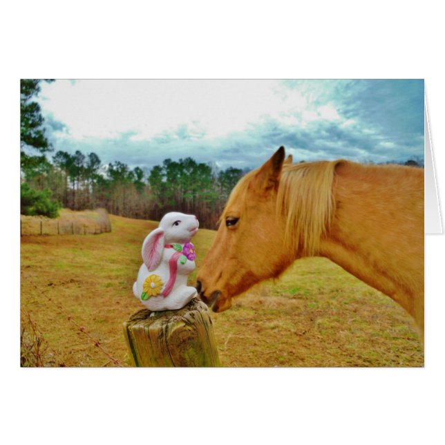 Lapin blanc et Cheval jaune (Devant horizontal)