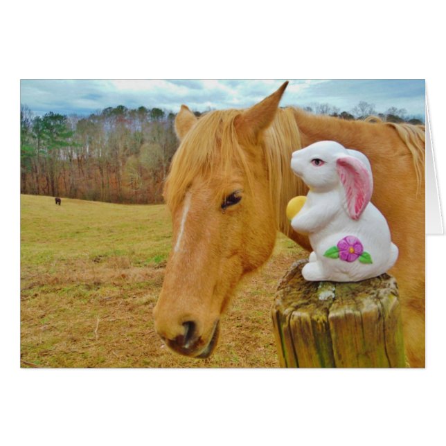 Lapin blanc et cheval jaune blond (Devant horizontal)