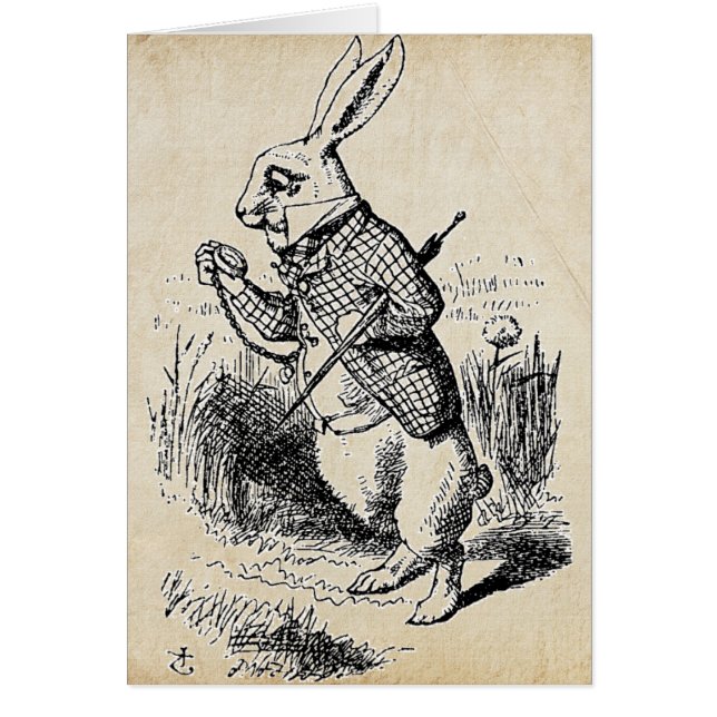 Lapin blanc vintage (Devant)