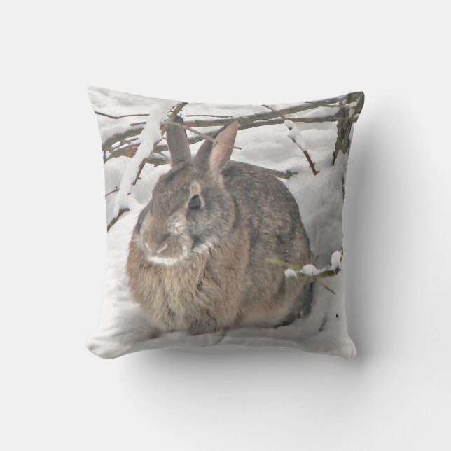 Lapin Brown dans le coussin extérieur de neige (Recto)