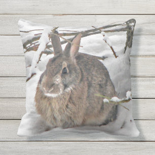 Lapin Brown dans le coussin extérieur de neige
