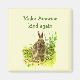 Lapin Brown Rendre l'Amérique comme aimant