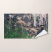 Lapin Brown, Repos dans la nature, Faune (Serviette à main)